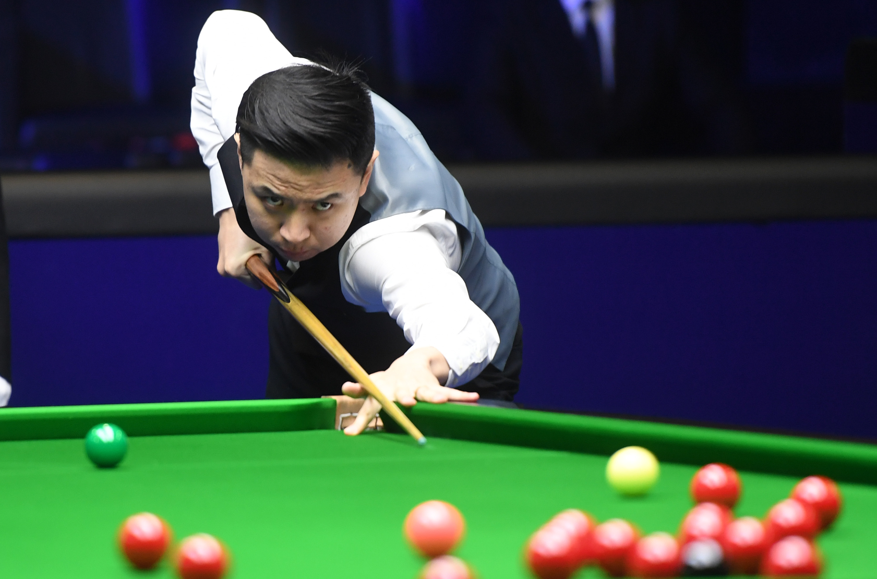 在去年的一 在去年的一